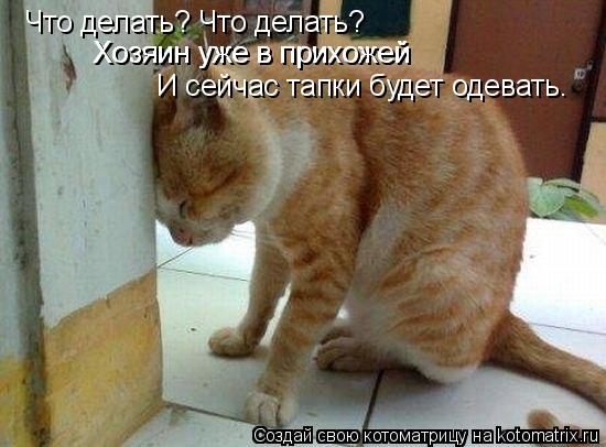 Что делать? Что делать? Хозяин уже в прихожей Хозяин уже в прихожей И сейчас тапки будет одевать.... Котоматрица: Что делать? Что делать? Хозяин уже в прихожей Хозяин уже в прихожей И сейчас тапки будет одевать.