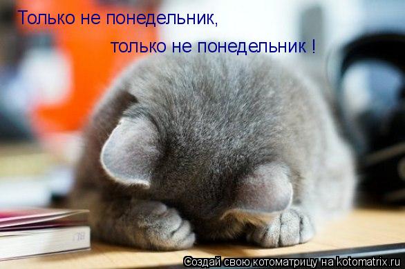 Только не понедельник, только не понедельник !... Котоматрица: Только не понедельник, только не понедельник !