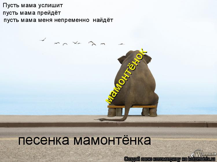 Пусть мама услишит пусть мама прейдёт ... Котоматрица: Пусть мама услишит пусть мама прейдёт пу