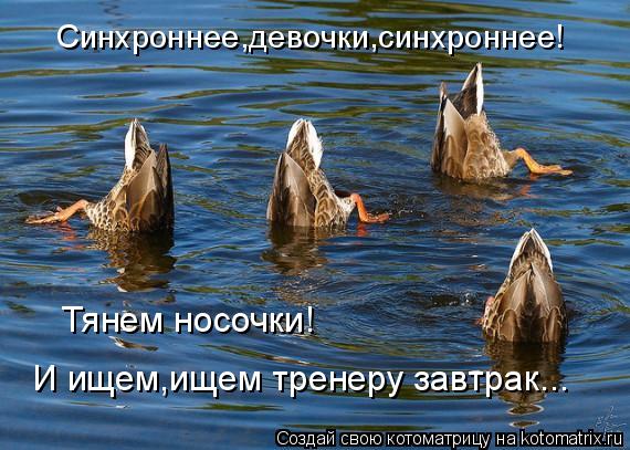 Синхроннее,девочки,синхроннее! Тянем носочки! И ищем,ищем тренеру завтрак...... Котоматрица: Синхроннее,девочки,синхроннее! Тянем носочки! И ищем,ищем тренеру завтрак...