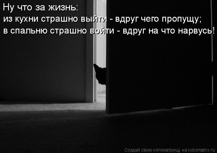 Ну что за жизнь: из кухни страшно выйти - вдруг чего пропущу; в спальню страшно войти - вдруг на что... Котоматрица: Ну что за жизнь: из кухни страшно выйти - вдруг чего пропущу; в спальню страшно войти - вдруг на что нарвусь!