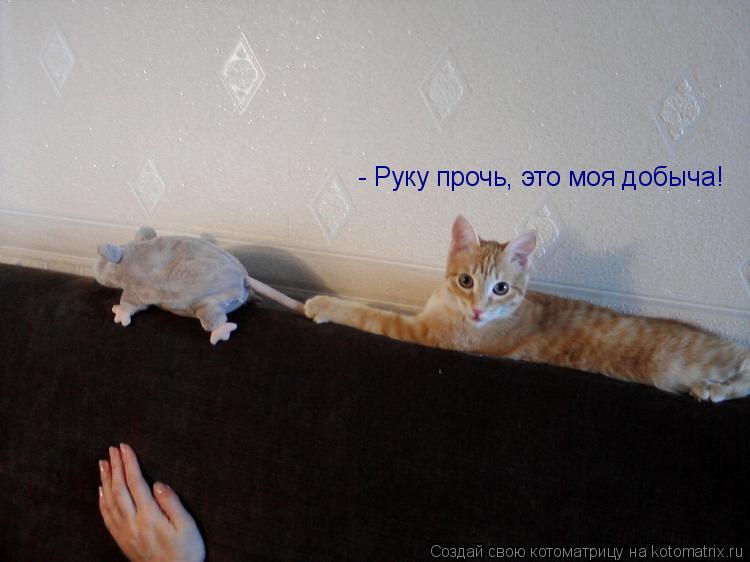 - Руку прочь, это моя добыча!... Котоматрица: - Руку прочь, это моя добыча!