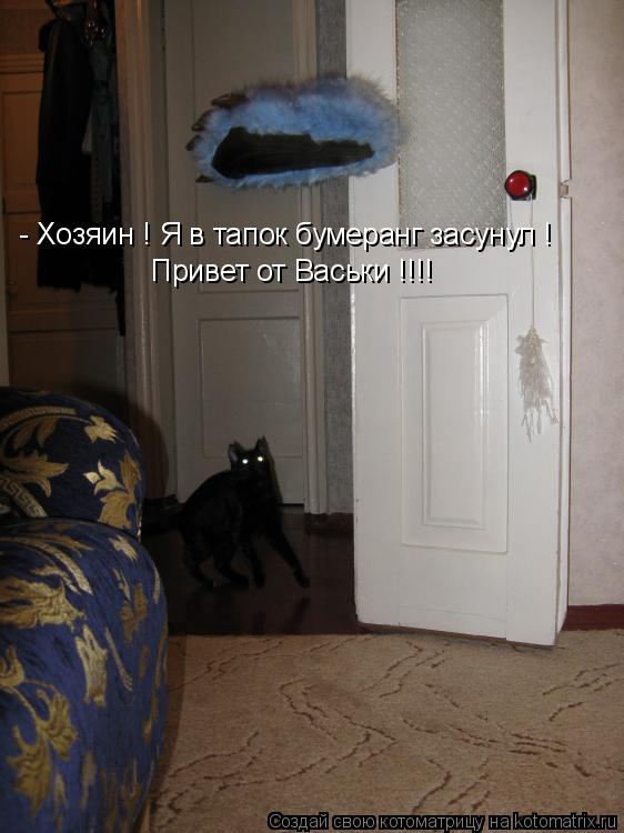- Хозяин ! Я в тапок бумеранг засунул ! Привет от Васьки !!!!... Котоматрица: - Хозяин ! Я в тапок бумеранг засунул ! Привет от Васьки !!!!