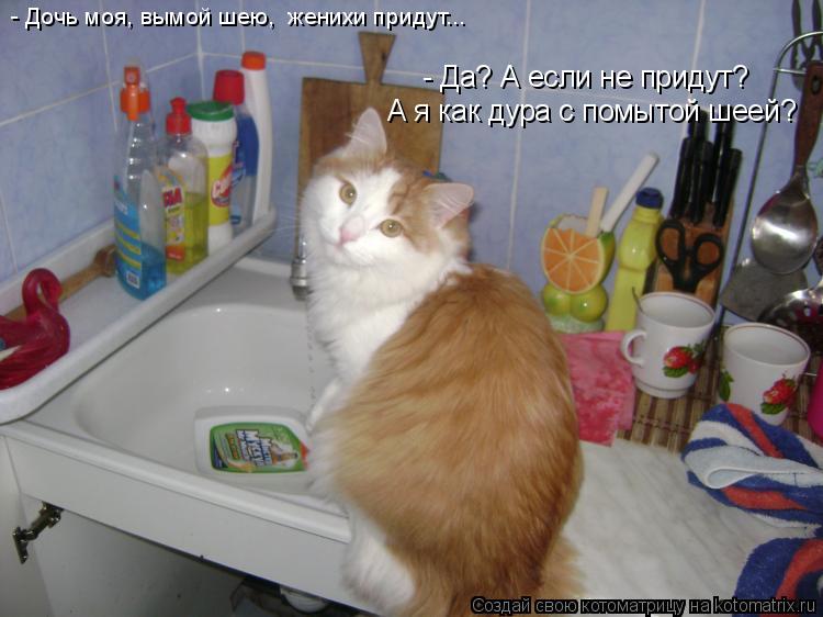 - Дочь моя, вымой шею, женихи придут... - Да? А если не придут? А я как дура с помытой шеей?... Котоматрица: - Дочь моя, вымой шею, женихи придут... - Да? А если не придут? А я как дура с помытой шеей?