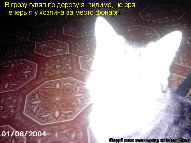 В грозу гулял по дереву я, видимо, не зря В грозу гулял по дереву я, видимо, не зря Теперь я у хозяин... Котоматрица: В грозу гулял по дереву я, видимо, не зря В грозу гулял по дереву я, видимо, не зря Теперь я у хозяина за место фонаря