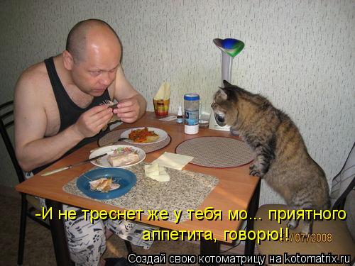 Котоматрица: -И не треснет же у тебя мо... приятного  аппетита, говорю!!