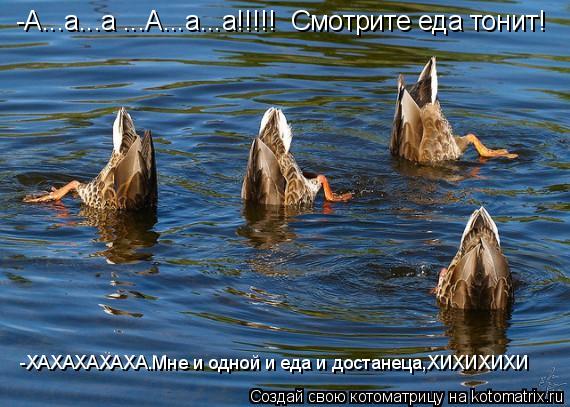 -А...а...а ...А...а...а!!!!! Смотрите еда тонит! -ХАХАХАХАХА.Мне и одной и еда и достанеца,ХИХИХИХИ... Котоматрица: -А...а...а ...А...а...а!!!!! Смотрите еда тонит! -ХАХАХАХАХА.Мне и одной и еда и достанеца,ХИХИХИХИ