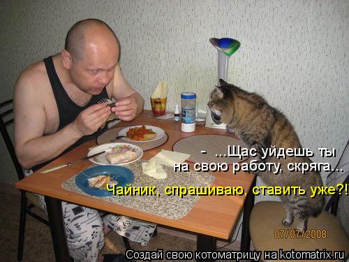 - ...Щас уйдешь ты на свою работу, скряга... Чайник, спрашиваю, ставить уже?!... Котоматрица: - ...Щас уйдешь ты на свою работу, скряга... Чайник, спрашиваю, ставить уже?!