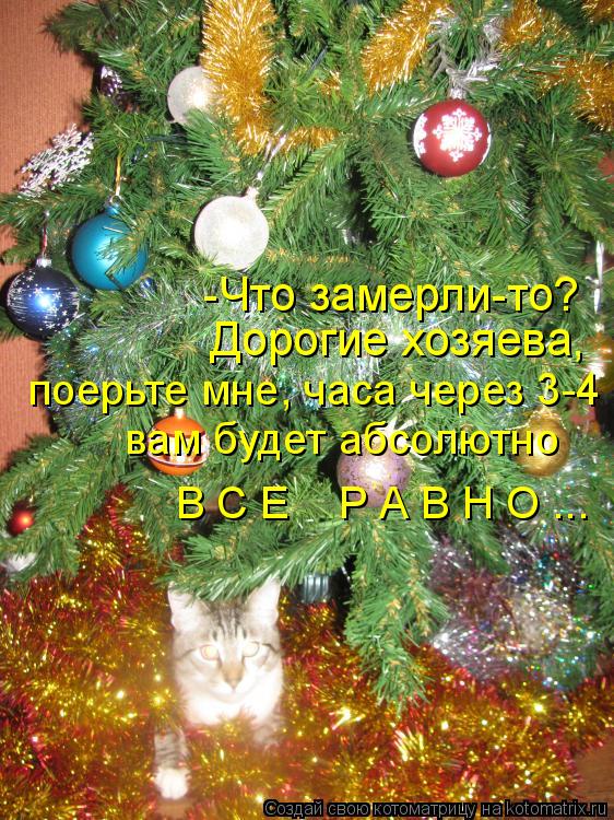 -Что замерли-то? Дорогие хозяева, поерьте мне, часа через 3-4 вам будет абсолютно В С Е Р А В Н О ... Котоматрица: -Что замерли-то? Дорогие хозяева, поерьте мне, часа через 3-4 вам будет абсолютно В С Е Р А В Н О ...