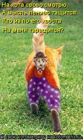 На кота свово смотрю, А мысль лениво тащится: Кто из по его хвоста На меня таращится?... Котоматрица: На кота свово смотрю, А мысль лениво тащится: Кто из по его хвоста На меня таращится?