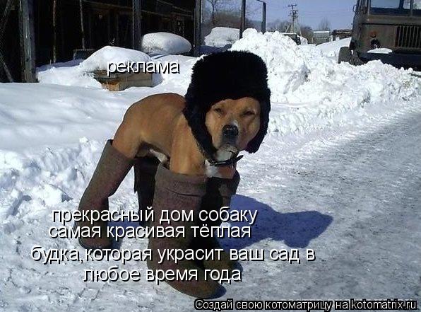 реклама прекрасный дом собаку самая красивая тёплая будка,которая украсит ваш сад в любое время... Котоматрица: реклама прекрасный дом собаку самая красивая тёплая будка,которая украсит ваш сад в любое время года
