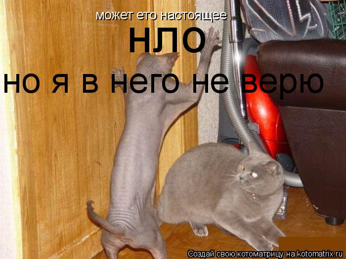 может ето настоящее нло но я в него не верю... Котоматрица: может ето настоящее нло но я в него не верю
