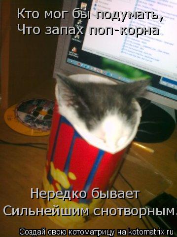 Кто мог бы подумать, Что запах поп-корна Сильнейшим снотворным. Нередко бывает... Котоматрица: Кто мог бы подумать, Что запах поп-корна Сильнейшим снотворным. Нередко бывает