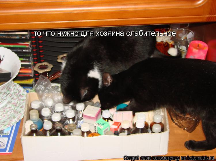 то что нужно для хозяина слабительное... Котоматрица: то что нужно для хозяина слабительное