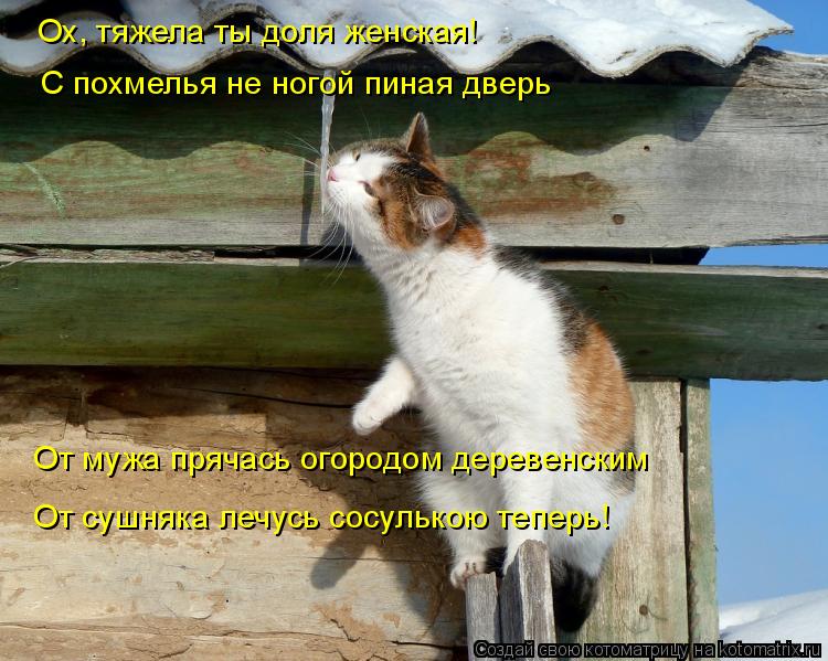 Ох, тяжела ты доля женская! С похмелья не ногой пиная дверь От мужа прячась огородом деревенским От с... Котоматрица: Ох, тяжела ты доля женская! С похмелья не ногой пиная дверь От мужа прячась огородом деревенским От сушняка лечусь сосулькою теперь!