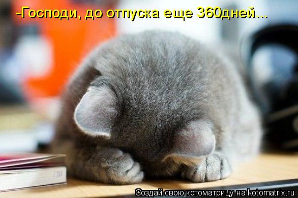 -Господи, до отпуска еще 360дней...... Котоматрица: -Господи, до отпуска еще 360дней...