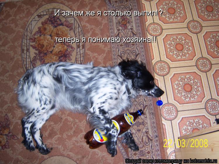 И зачем же я столько выпил!? теперь я понимаю хозяина!!... Котоматрица: И зачем же я столько выпил!? теперь я понимаю хозяина!!