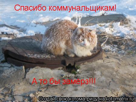 Спасибо коммунальщикам! А то бы замёрз!!!... Котоматрица: Спасибо коммунальщикам! А то бы замёрз!!!