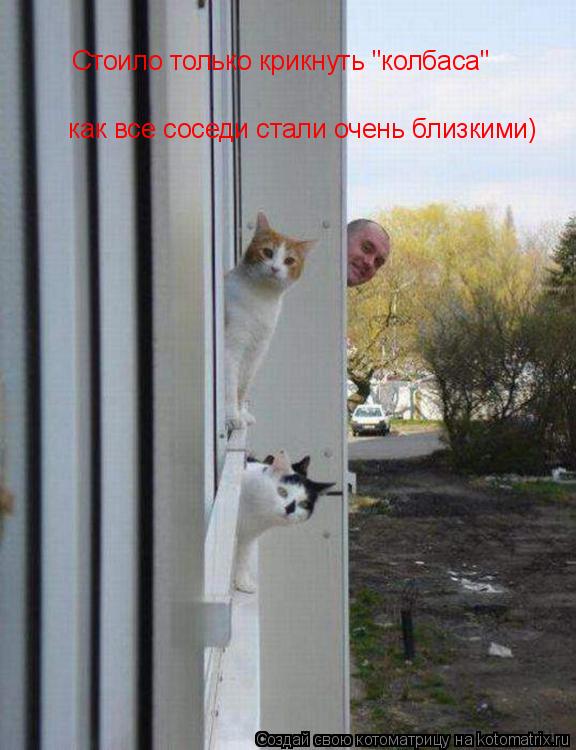 Стоило только крикнуть "колбаса" как все соседи стали очень близкими)... Котоматрица: Стоило только крикнуть "колбаса" как все соседи стали очень близкими)