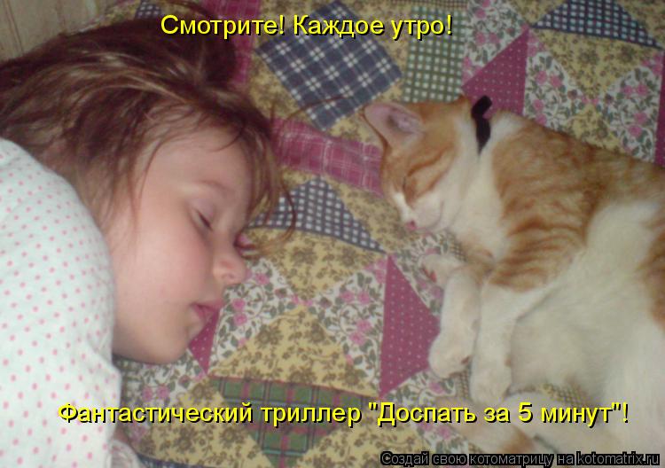 Смотрите! Каждое утро! Фантастический триллер "Доспать за 5 минут"!... Котоматрица: Смотрите! Каждое утро! Фантастический триллер "Доспать за 5 минут"!