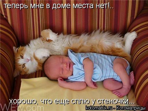 теперь мне в доме места нет!.. хорошо, что еще сплю у стеночки...... Котоматрица: теперь мне в доме места нет!.. хорошо, что еще сплю у стеночки...