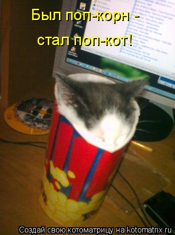 Был поп-корн - стал поп-кот!... Котоматрица: Был поп-корн - стал поп-кот!