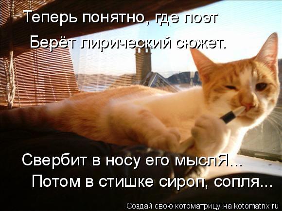 Теперь понятно, где поэт Берёт лирический сюжет. Свербит в носу его мыслЯ... Потом в стишке сироп, со... Котоматрица: Теперь понятно, где поэт Берёт лирический сюжет. Свербит в носу его мыслЯ... Потом в стишке сироп, сопля...