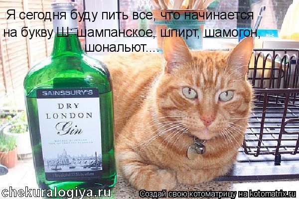 Я сегодня буду пить все, что начинается на букву Ш: шампанское, шпирт, шамогон, шональют....... Котоматрица: Я сегодня буду пить все, что начинается на букву Ш: шампанское, шпирт, шамогон, шональют....