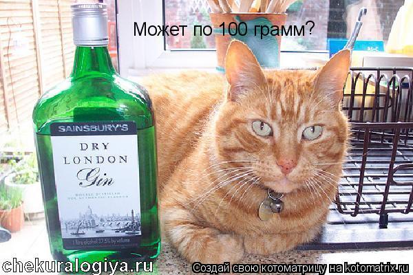 Может по 100 грамм ?... Котоматрица: Может по 100 грамм ?