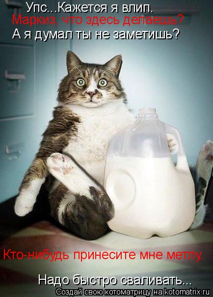 Котоматрица: Упс...Кажется я влип. Надо быстро сваливать...  Маркиз, что здесь делаешь? А я думал ты не заметишь? Кто-нибудь принесите мне метлу.