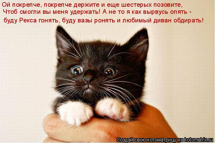 Котоматрица: Ой покрепче, покрепче держите и еще шестерых позовите, Чтоб смогли вы меня удержать! А не то я как вырвусь опять -  буду Рекса гонять, буду ваз