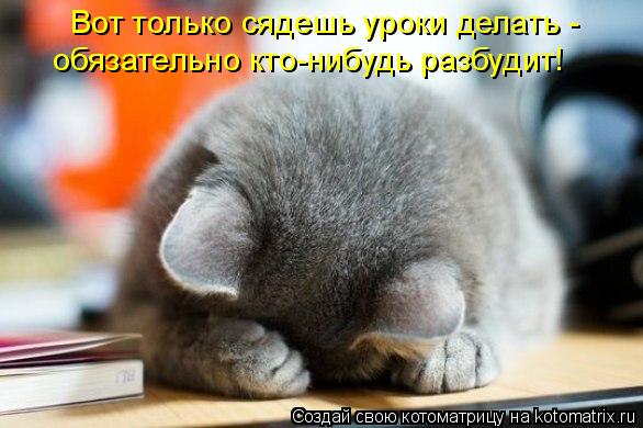 Котоматрица: Вот только сядешь уроки делать -  обязательно кто-нибудь разбудит!