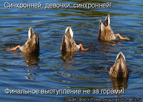 Котоматрица: Синхронней, девочки, синхронней! Финальное выступление не за горами!
