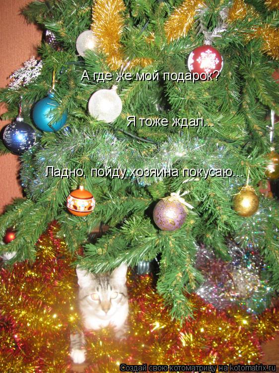Котоматрица: А где же мой подарок? Я тоже ждал... Ладно, пойду хозяина покусаю...