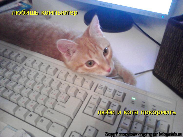 Котоматрица: любишь компьютер люби и кота покормить