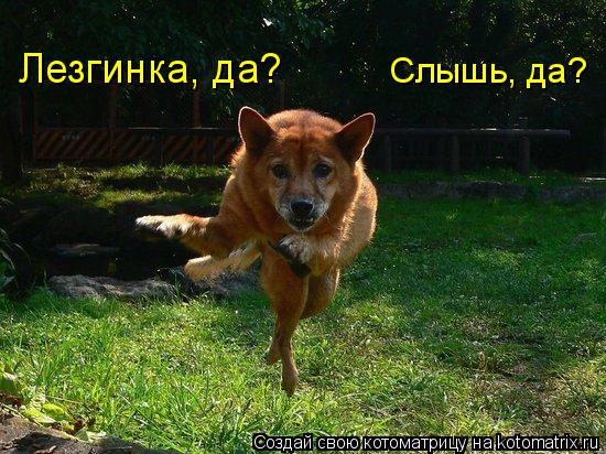 Котоматрица: Лезгинка, да? Слышь, да?