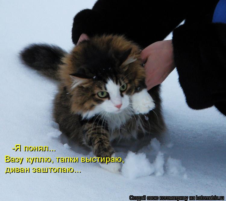 Котоматрица: -Я понял... Вазу куплю, тапки выстираю, диван заштопаю...