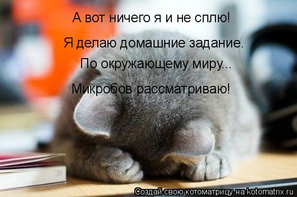 Котоматрица: А вот ничего я и не сплю! Я делаю домашние задание. По окружающему миру... Микробов рассматриваю!