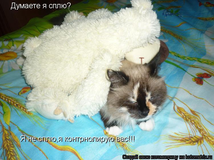 Котоматрица: Думаете я сплю? Я не сплю,я контрнолирую вас!!!