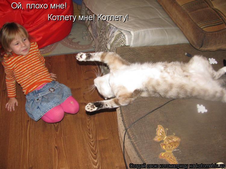Котоматрица: Ой, плохо мне! Котлету мне! Котлету!
