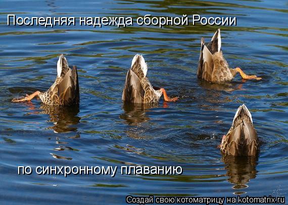 Котоматрица: Последняя надежда сборной России  по синхронному плаванию