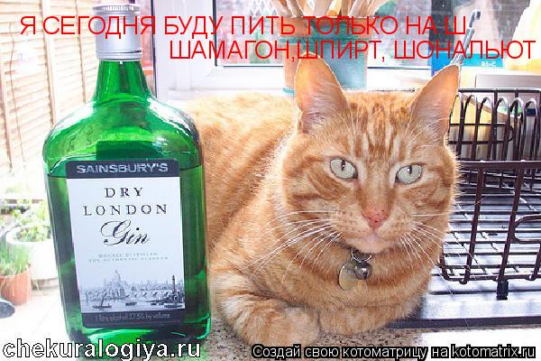Котоматрица: Я СЕГОДНЯ БУДУ ПИТЬ ТОЛЬКО НА Ш ШАМАГОН,ШПИРТ, ШОНАЛЬЮТ