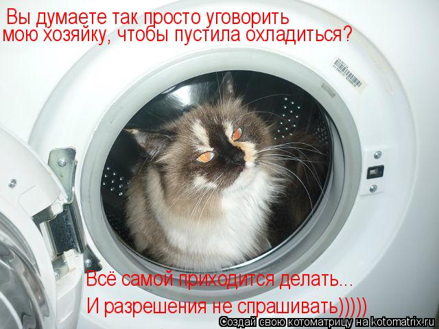 Котоматрица: Вы думаете так просто уговорить  мою хозяйку, чтобы пустила охладиться? Всё самой приходится делать... И разрешения не спрашивать)))))