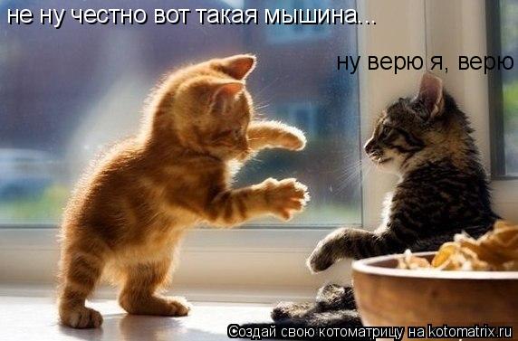Котоматрица: ну верю я, верю не ну честно вот такая мышина...