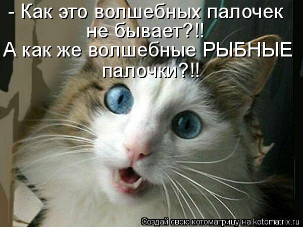 Котоматрица: - Как это волшебных палочек  не бывает?!! А как же волшебные РЫБНЫЕ палочки?!!
