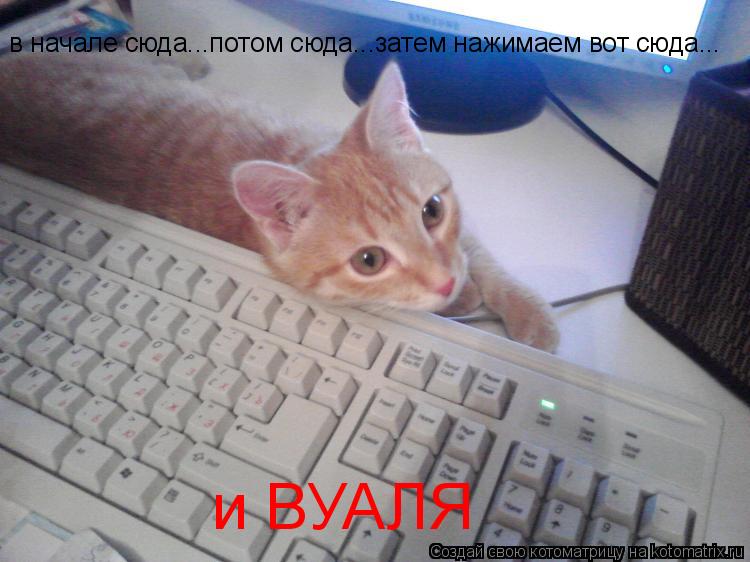 Котоматрица: в начале сюда...потом сюда...затем нажимаем вот сюда... и ВУАЛЯ