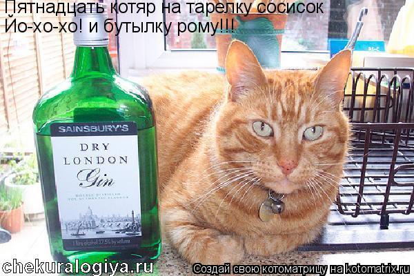 Котоматрица: Пятнадцать котяр на тарелку сосисок Йо-хо-хо! и бутылку рому!!!