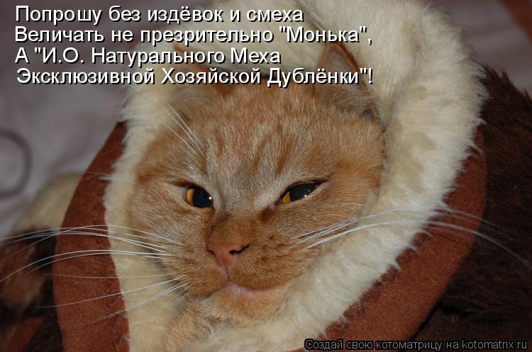 Котоматрица: Попрошу без издёвок и смеха Величать не презрительно "Монька",  А "И.О. Натурального Меха Эксклюзивной Хозяйской Дублёнки"!