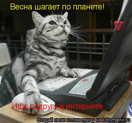 Котоматрица: Весна шагает по планете! Ищу подругу в интернете...