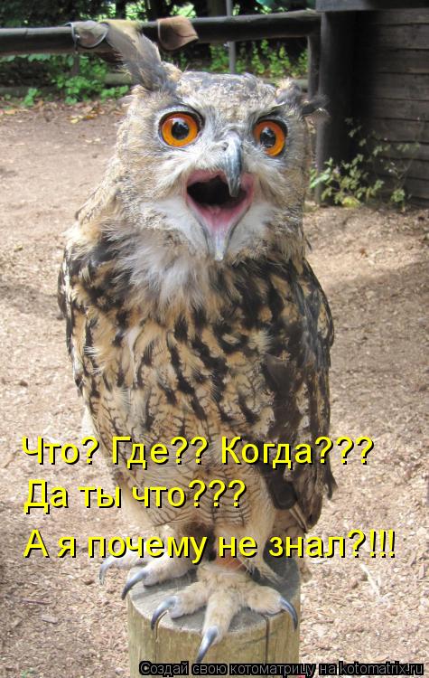 Котоматрица: Что? Где?? Когда??? Да ты что??? А я почему не знал?!!!
